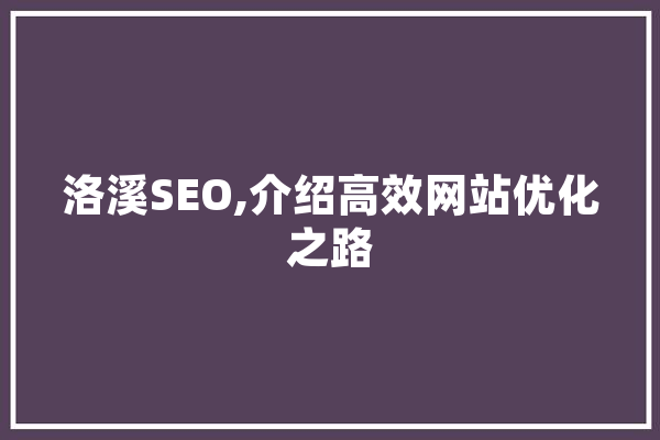 洛溪SEO,介绍高效网站优化之路