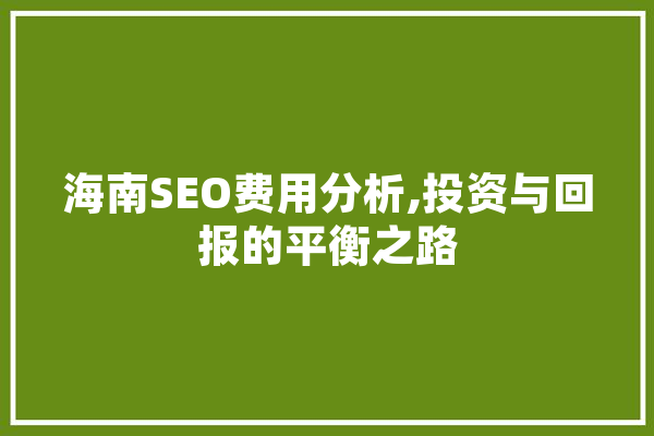 海南SEO费用分析,投资与回报的平衡之路