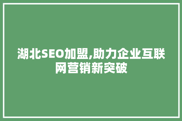 湖北SEO加盟,助力企业互联网营销新突破