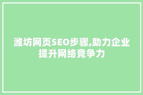 潍坊网页SEO步骤,助力企业提升网络竞争力