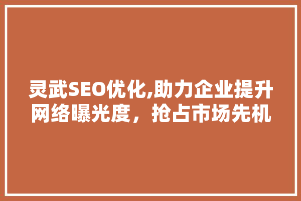 灵武SEO优化,助力企业提升网络曝光度，抢占市场先机