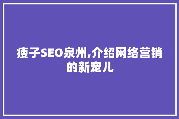瘦子SEO泉州,介绍网络营销的新宠儿