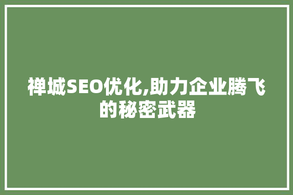 禅城SEO优化,助力企业腾飞的秘密武器