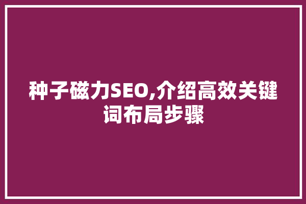 种子磁力SEO,介绍高效关键词布局步骤