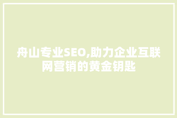 舟山专业SEO,助力企业互联网营销的黄金钥匙