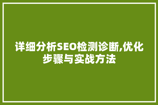 详细分析SEO检测诊断,优化步骤与实战方法