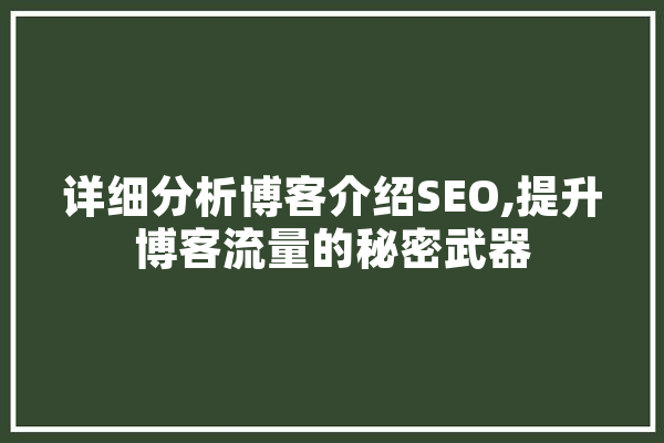详细分析博客介绍SEO,提升博客流量的秘密武器