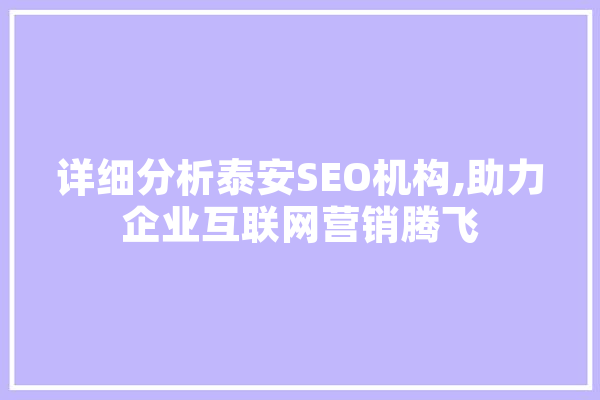 详细分析泰安SEO机构,助力企业互联网营销腾飞