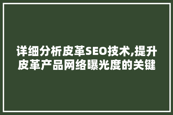 详细分析皮革SEO技术,提升皮革产品网络曝光度的关键步骤