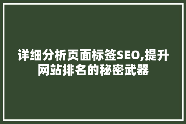 详细分析页面标签SEO,提升网站排名的秘密武器