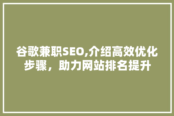 谷歌兼职SEO,介绍高效优化步骤，助力网站排名提升