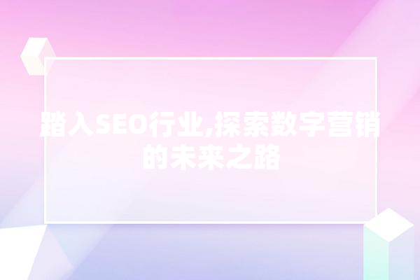 踏入SEO行业,探索数字营销的未来之路