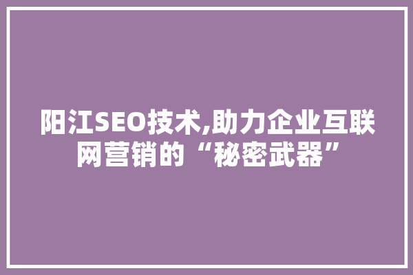 阳江SEO技术,助力企业互联网营销的“秘密武器”