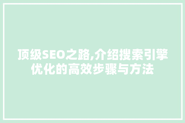 顶级SEO之路,介绍搜索引擎优化的高效步骤与方法