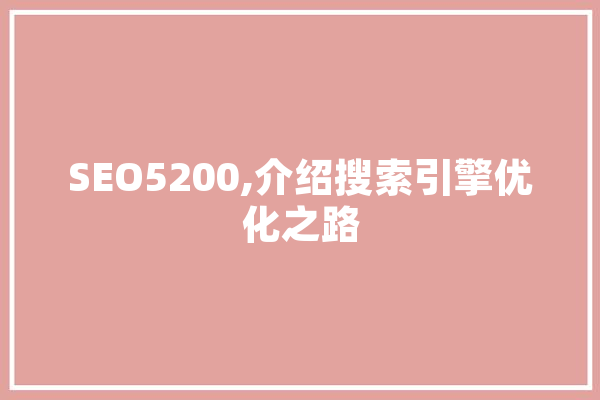 SEO5200,介绍搜索引擎优化之路 文字写作