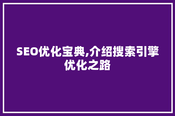 SEO优化宝典,介绍搜索引擎优化之路