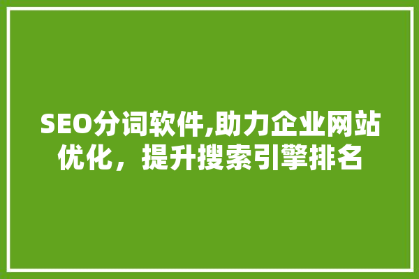 SEO分词软件,助力企业网站优化，提升搜索引擎排名