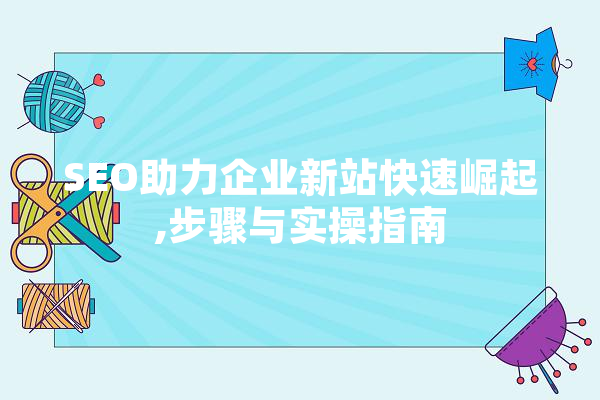 SEO助力企业新站快速崛起,步骤与实操指南