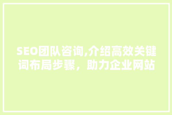 SEO团队咨询,介绍高效关键词布局步骤，助力企业网站优化