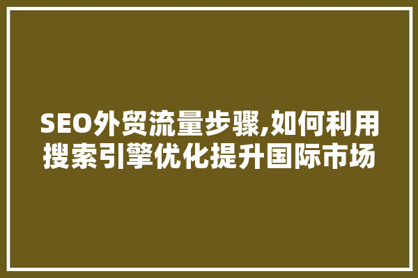SEO外贸流量步骤,如何利用搜索引擎优化提升国际市场竞争力