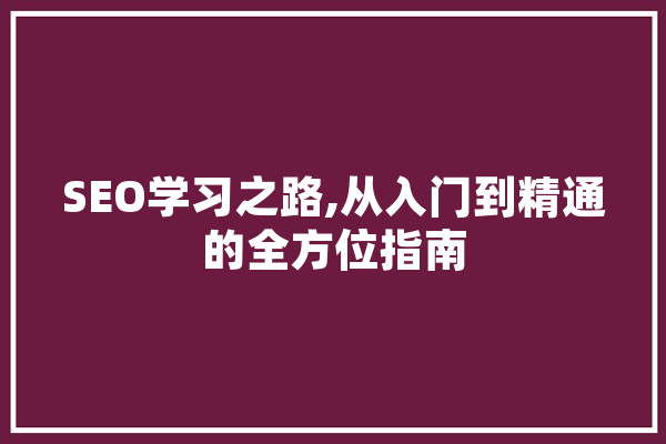 SEO学习之路,从入门到精通的全方位指南