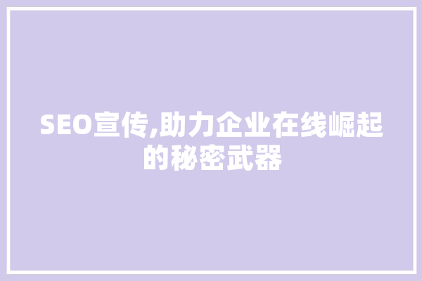 SEO宣传,助力企业在线崛起的秘密武器