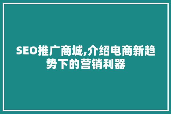 SEO推广商城,介绍电商新趋势下的营销利器