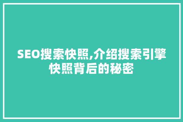 SEO搜索快照,介绍搜索引擎快照背后的秘密