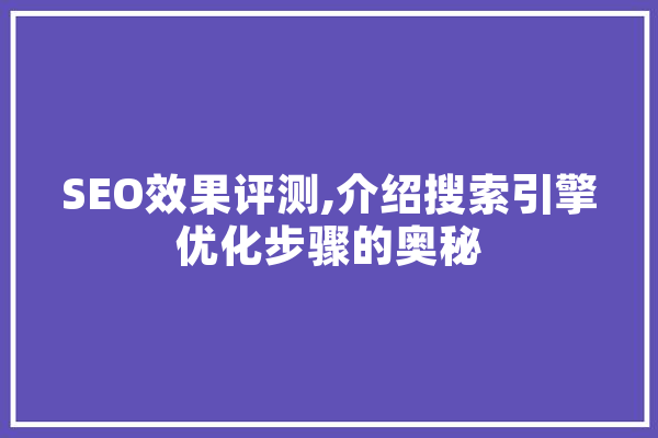SEO效果评测,介绍搜索引擎优化步骤的奥秘