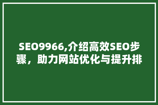 SEO9966,介绍高效SEO步骤，助力网站优化与提升排名