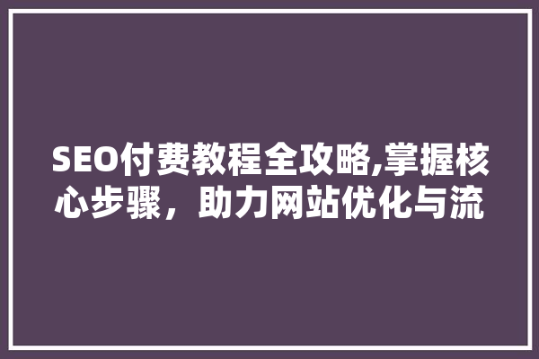 SEO付费教程全攻略,掌握核心步骤，助力网站优化与流量提升
