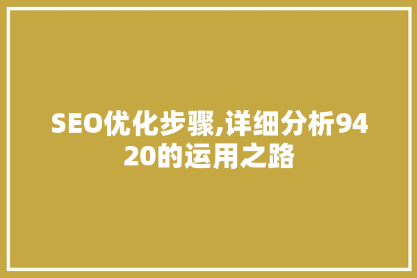 SEO优化步骤,详细分析9420的运用之路