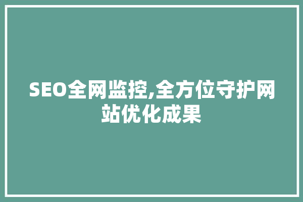 SEO全网监控,全方位守护网站优化成果