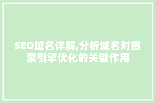 SEO域名详解,分析域名对搜索引擎优化的关键作用