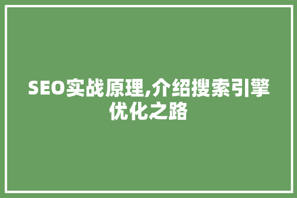 SEO实战原理,介绍搜索引擎优化之路