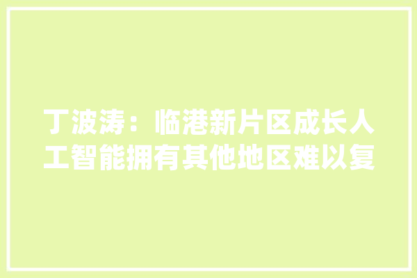 丁波涛：临港新片区成长人工智能拥有其他地区难以复制的核心优势_人工智能_家当 智能问答