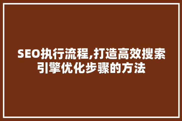 SEO执行流程,打造高效搜索引擎优化步骤的方法