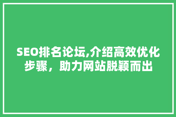SEO排名论坛,介绍高效优化步骤，助力网站脱颖而出