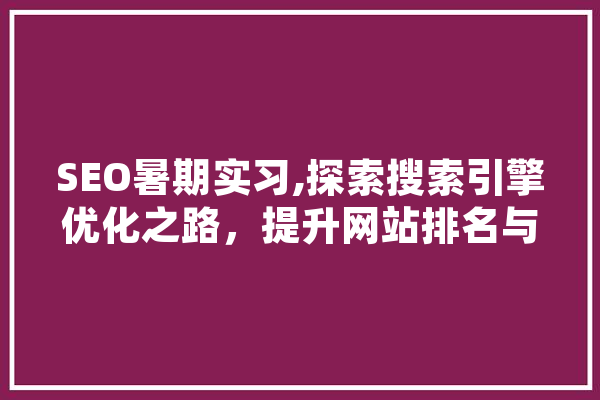 SEO暑期实习,探索搜索引擎优化之路，提升网站排名与用户体验