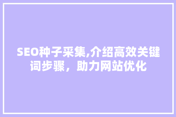 SEO种子采集,介绍高效关键词步骤，助力网站优化