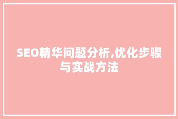 SEO精华问题分析,优化步骤与实战方法