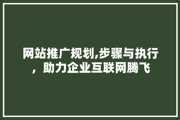 网站推广规划,步骤与执行，助力企业互联网腾飞
