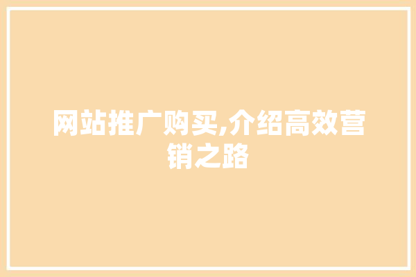 网站推广购买,介绍高效营销之路
