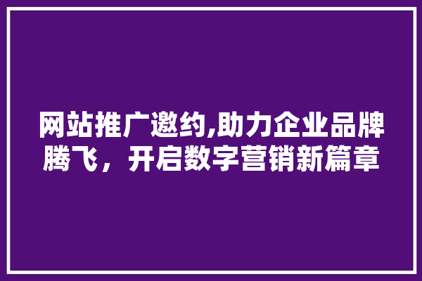 网站推广邀约,助力企业品牌腾飞，开启数字营销新篇章