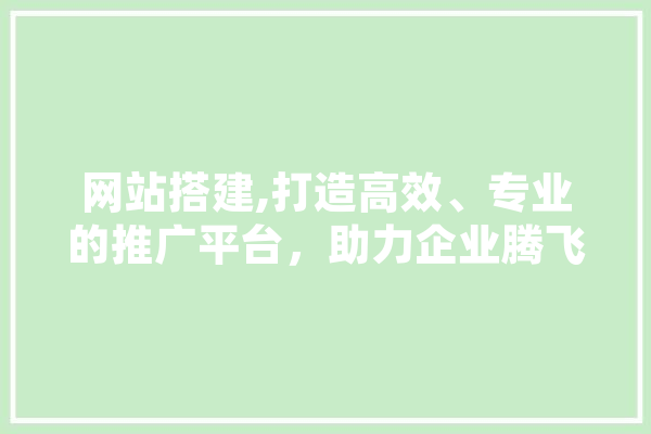 网站搭建,打造高效、专业的推广平台，助力企业腾飞