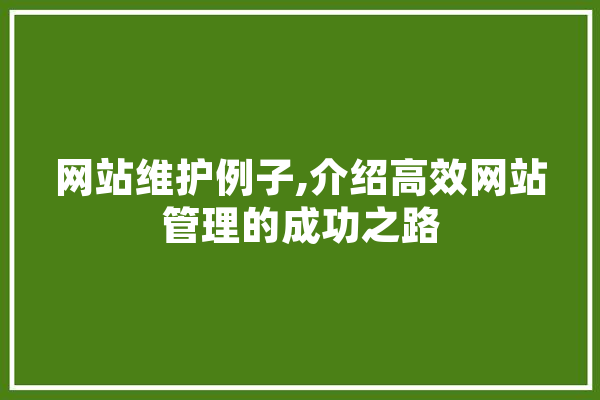 网站维护例子,介绍高效网站管理的成功之路