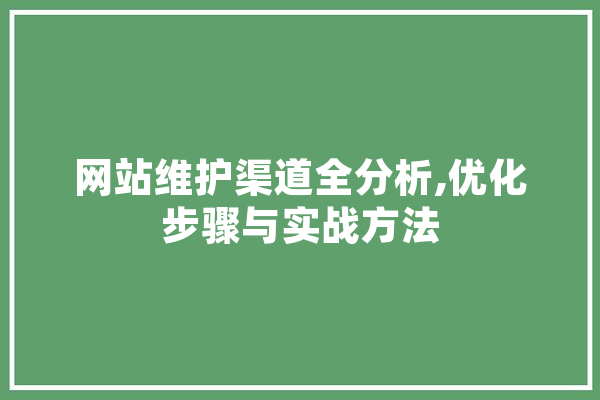 网站维护渠道全分析,优化步骤与实战方法