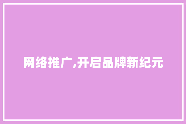 网络推广,开启品牌新纪元