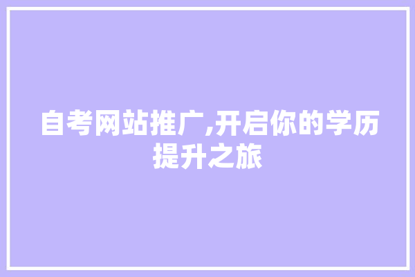 自考网站推广,开启你的学历提升之旅