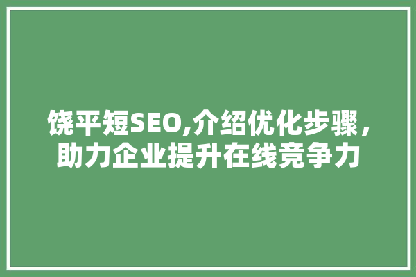 饶平短SEO,介绍优化步骤，助力企业提升在线竞争力